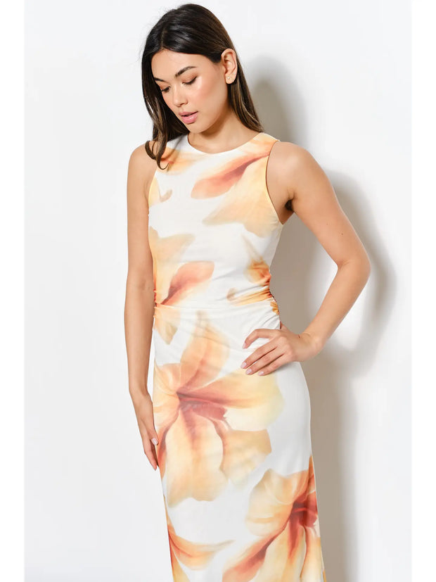 Print Mesh  Midi Dress NB