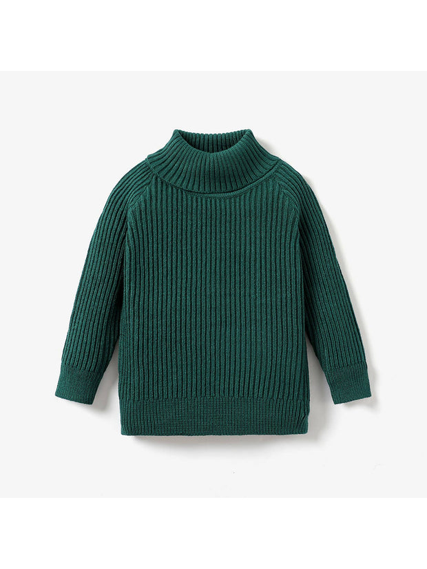 Toddler Girl/Boy Turtleneck Sweater