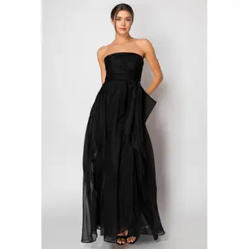 NB Organza Sleeveless Draped Bodice Maxi Dress