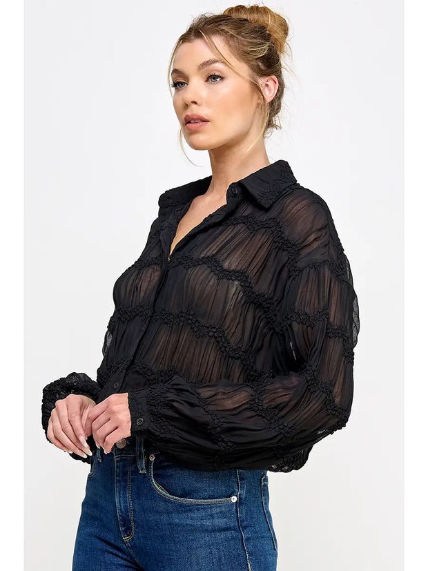 Romantic Sheer Button Front Blouse NB