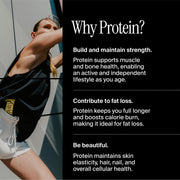 David High Protein Bars No Sugar - Sugar Free Protein Bars, Low Carb, Gluten Free - 28g of Protein, 150 Calories - David Bar On-The-Go Snack - Fudge Brownie Flavor, Pack of 12