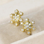 NB SNOWFLAKE STERLING SILVER EARINGS