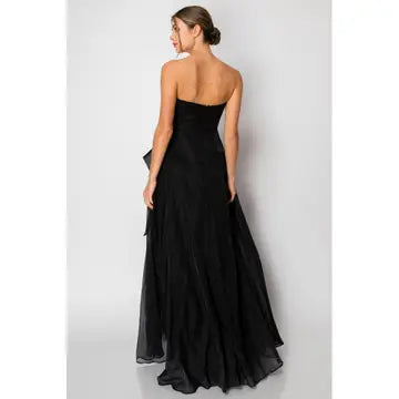 NB Organza Sleeveless Draped Bodice Maxi Dress