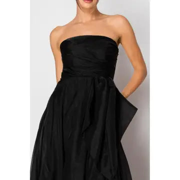 NB Organza Sleeveless Draped Bodice Maxi Dress