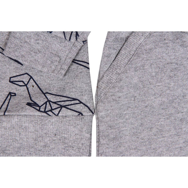 Dax 2 Piece Printed Dinosaur Set Baby