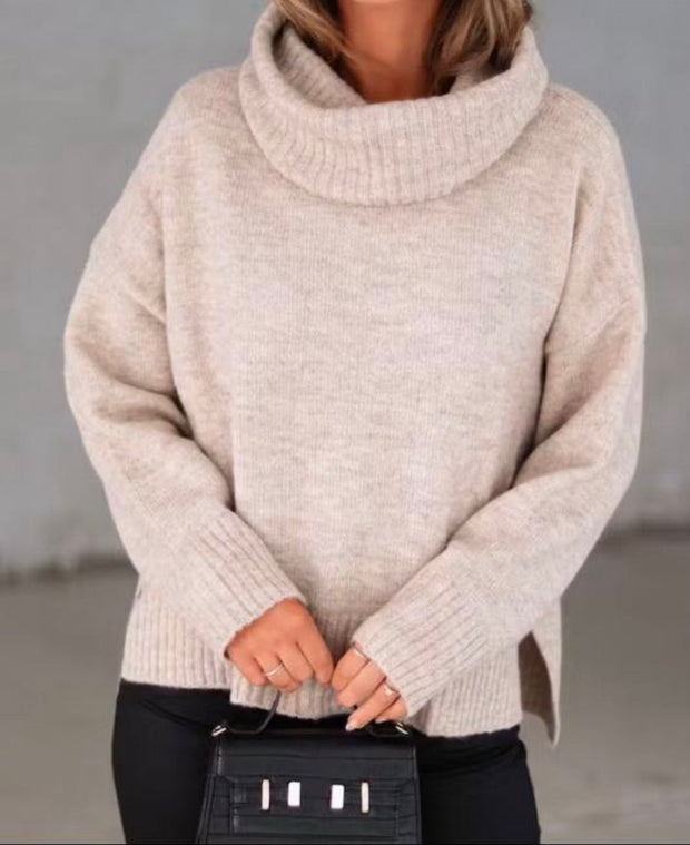 Erika Turtle Neck Sweater